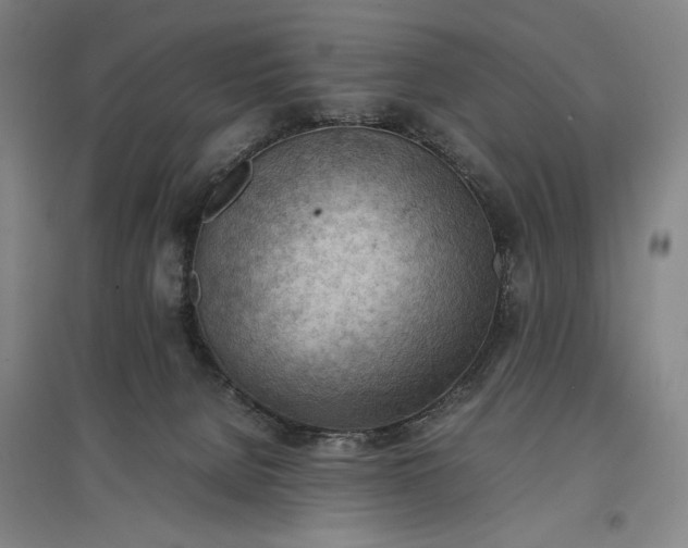 X0000096940080200802221329