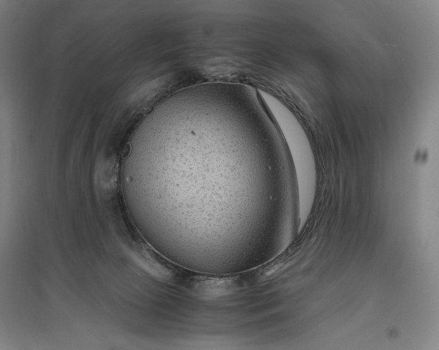 X0000096940081200802221329