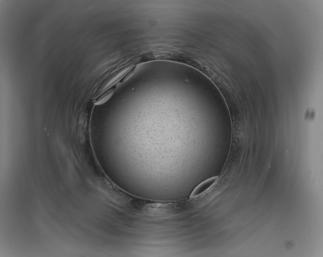 X0000096940082200802221329