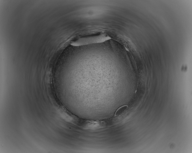 X0000096940083200802221329