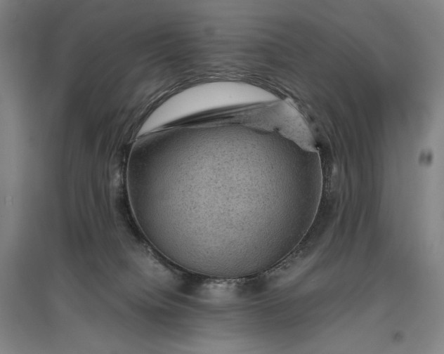 X0000096940084200802221329