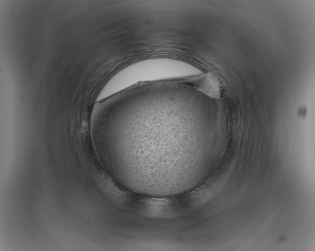 X0000096940085200802221329