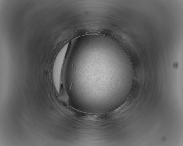 X0000096940086200802221329