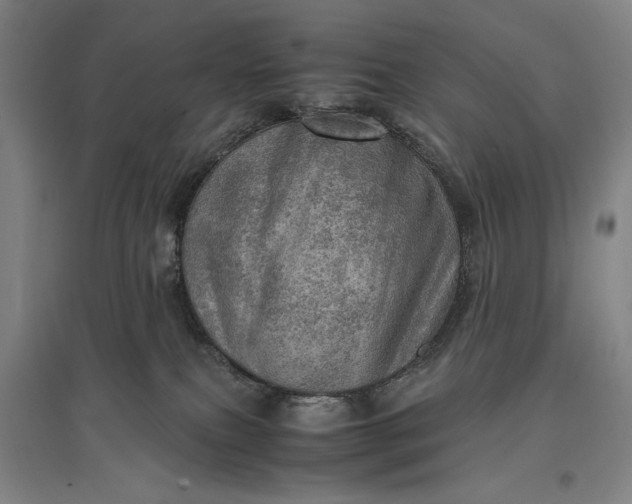 X0000096940087200802221329