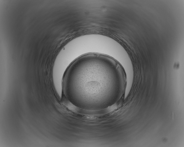 X0000096940088200802221329