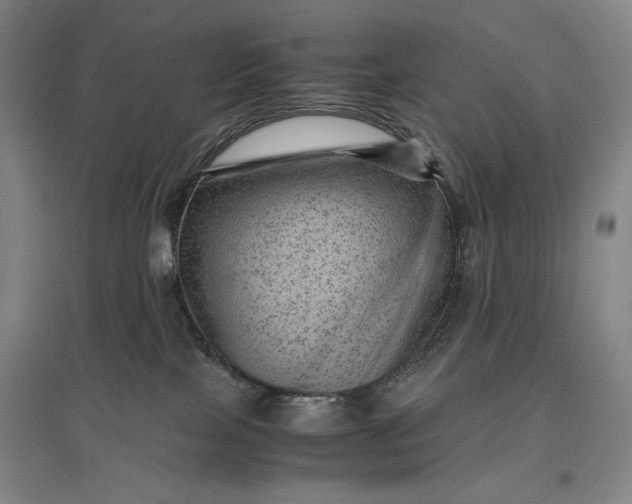 X0000096940089200802221329