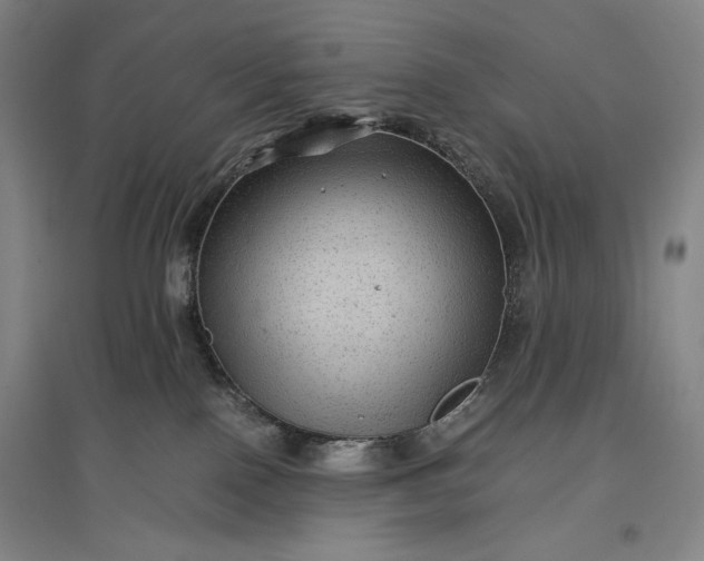 X0000096940090200802221330