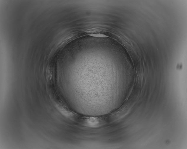 X0000096940091200802221330