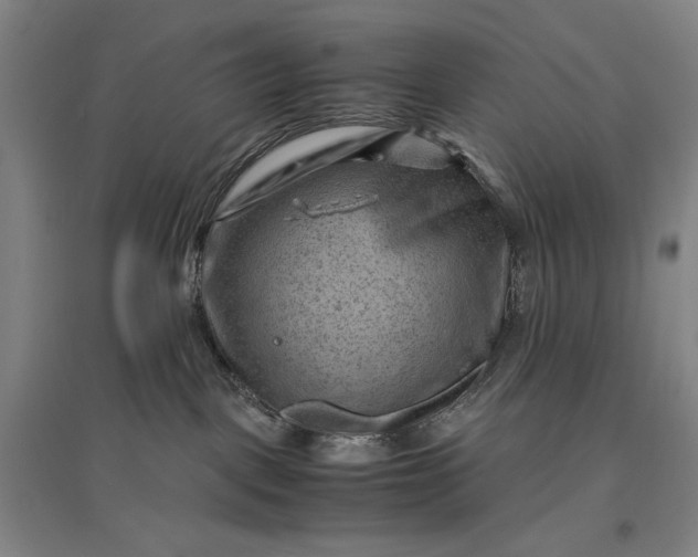 X0000096940093200802221330