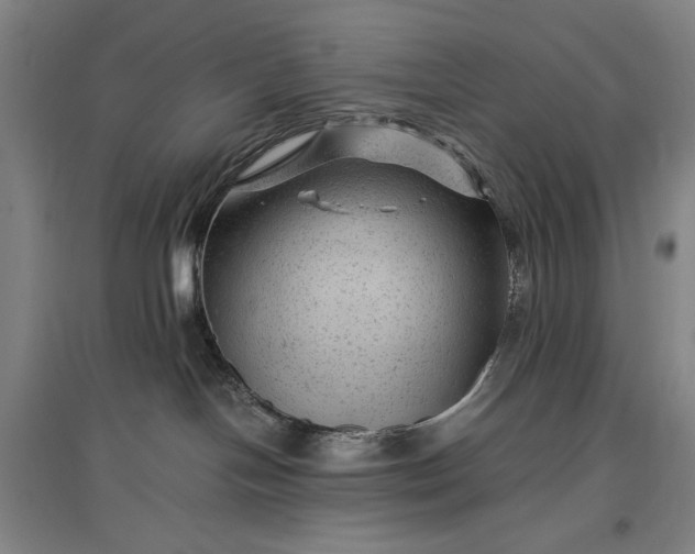 X0000096940094200802221330