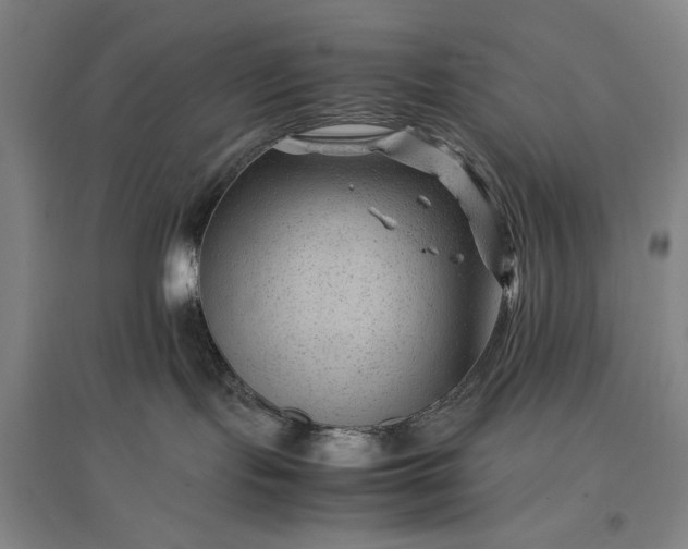 X0000096940095200802221330