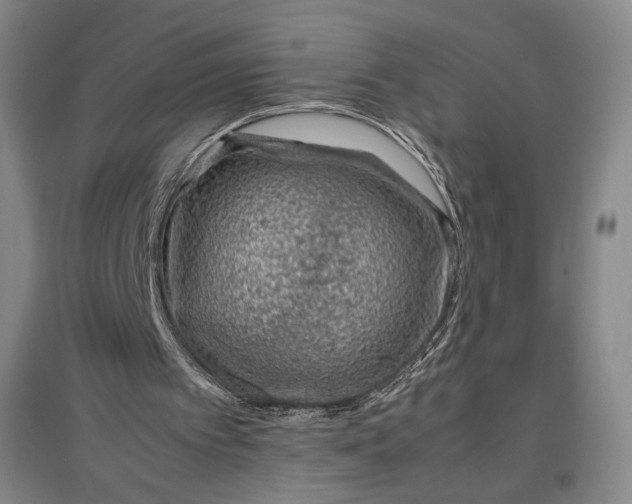 X0000096940097200802221329