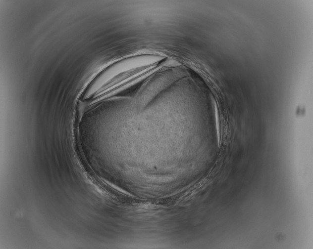 X0000096940098200802221329