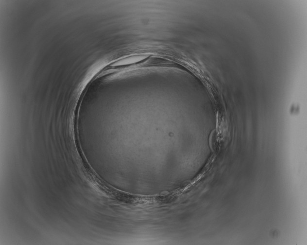 X0000096940099200802221329