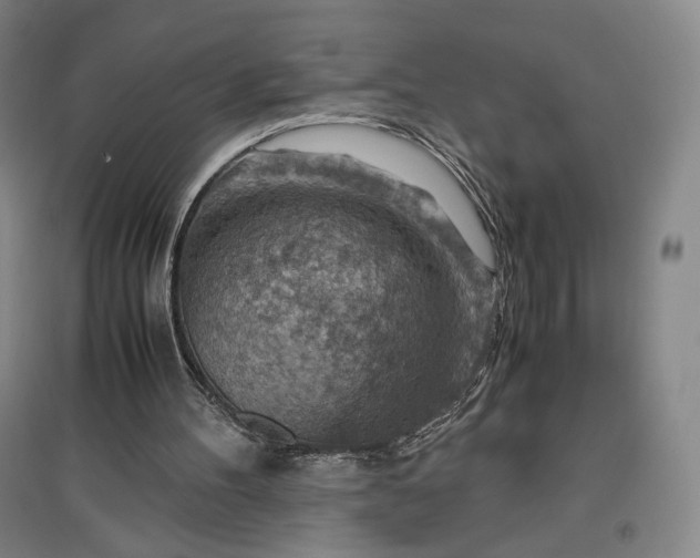 X0000096940100200802221329