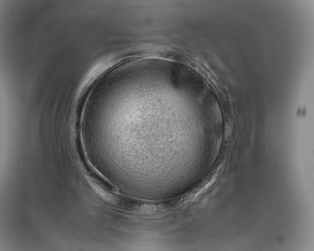 X0000096940101200802221329