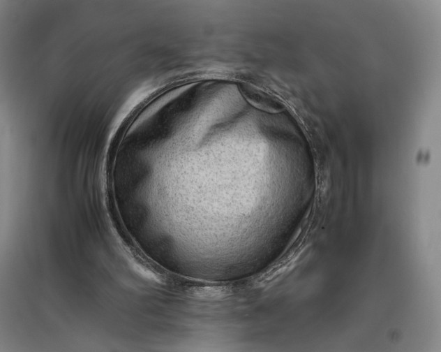 X0000096940102200802221329