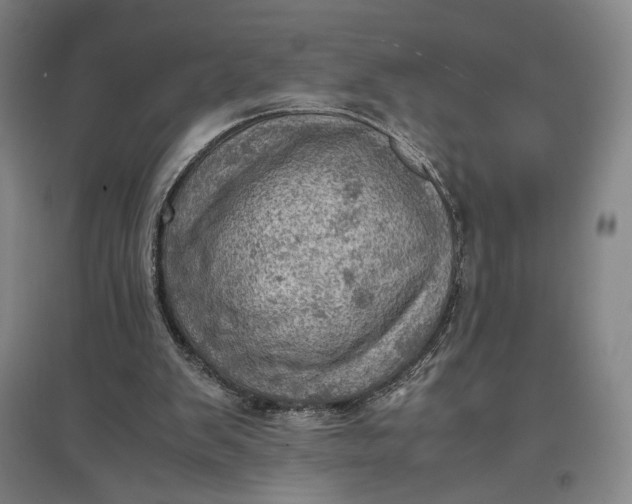 X0000096940103200802221329