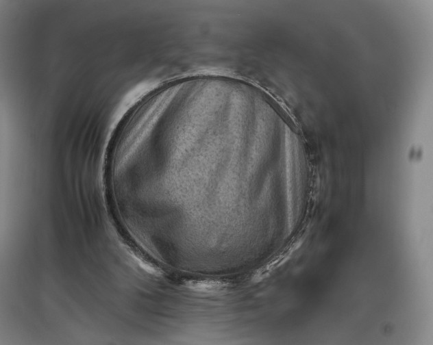 X0000096940104200802221329