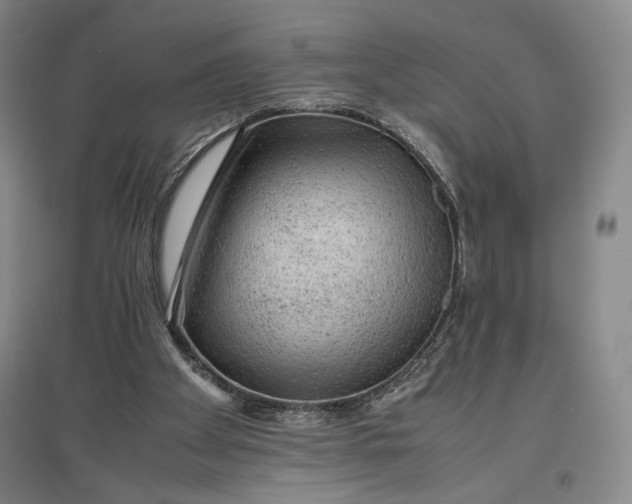 X0000096940105200802221329