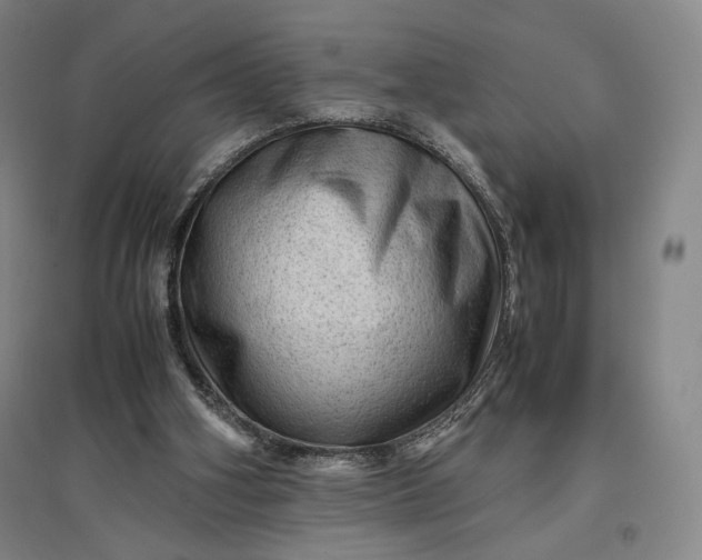 X0000096940106200802221329