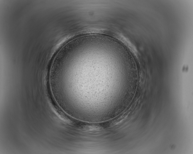 X0000096940107200802221329