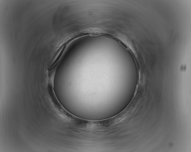 X0000096940109200802221329