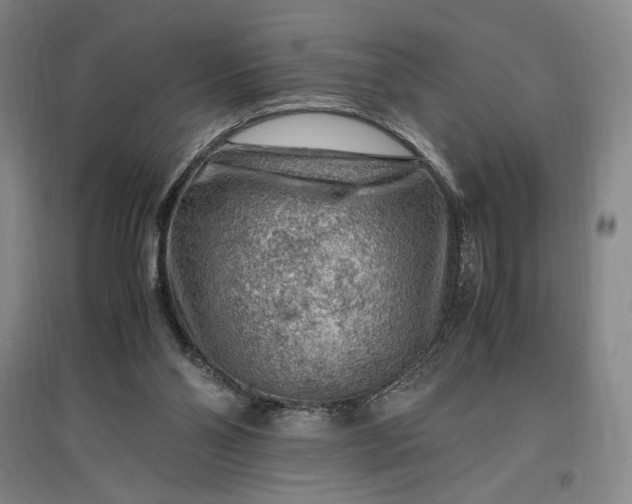 X0000096940110200802221329