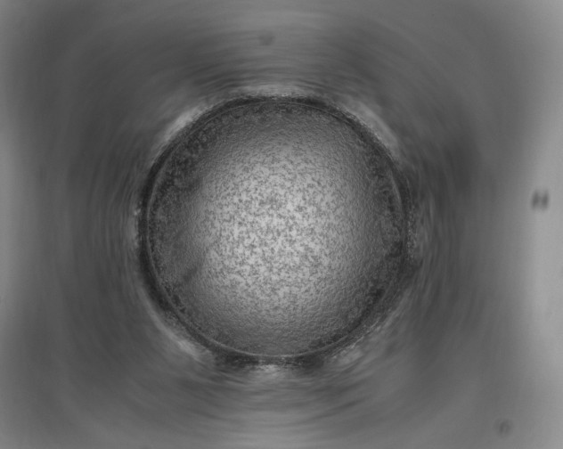 X0000096940111200802221329