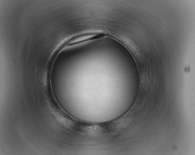 X0000096940112200802221329