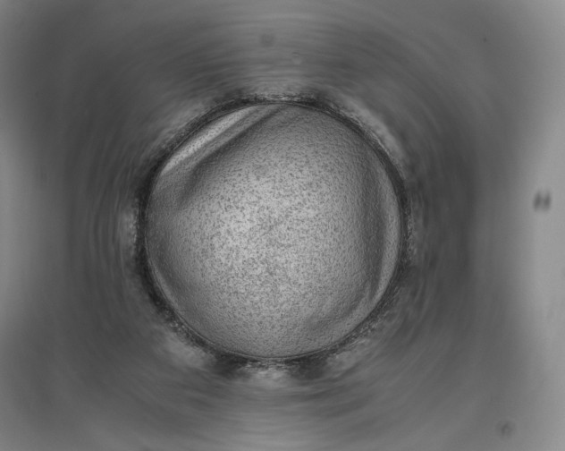 X0000096940113200802221329