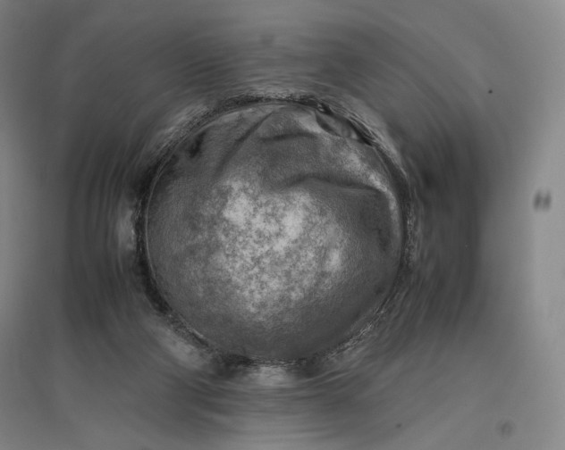 X0000096940114200802221329