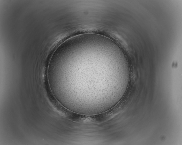 X0000096940115200802221329