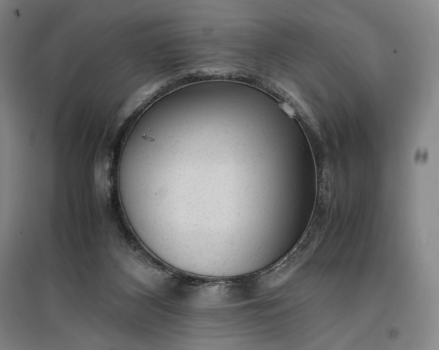 X0000096940116200802221329