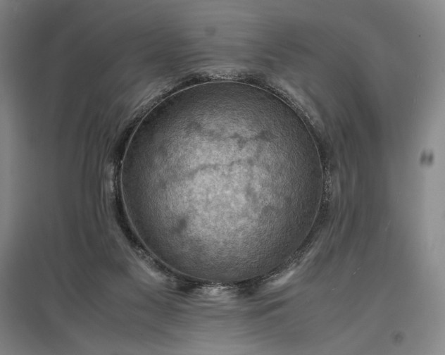 X0000096940117200802221329