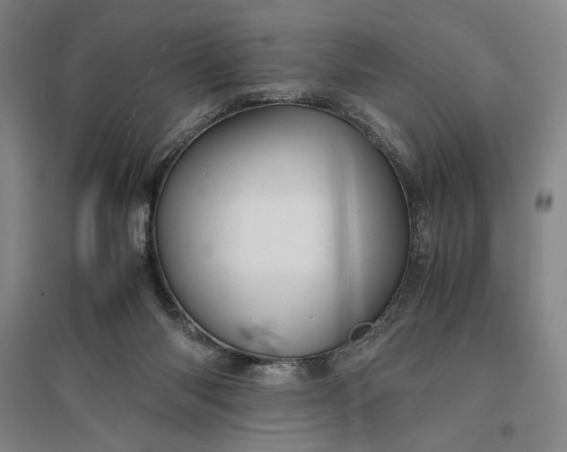 X0000096940118200802221328