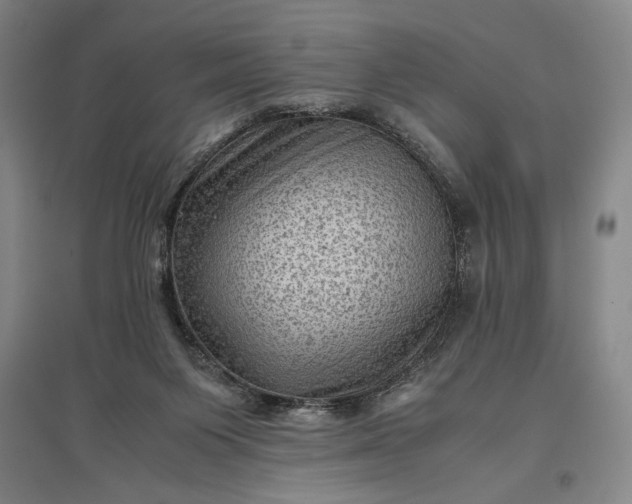 X0000096940119200802221328