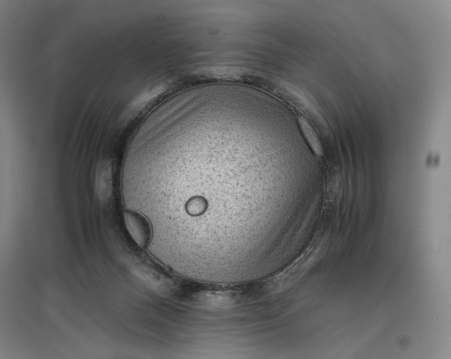 X0000096940120200802221328