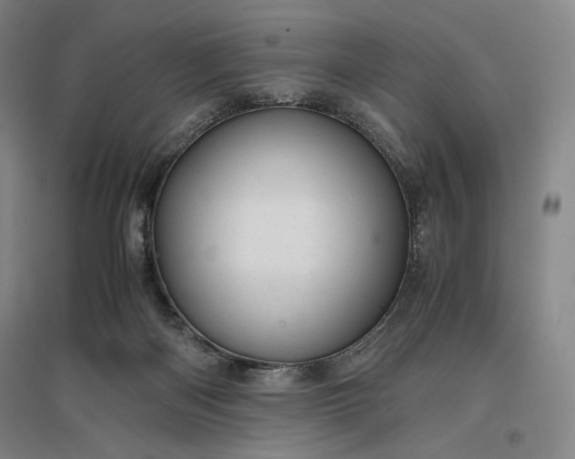 X0000096940122200802221328