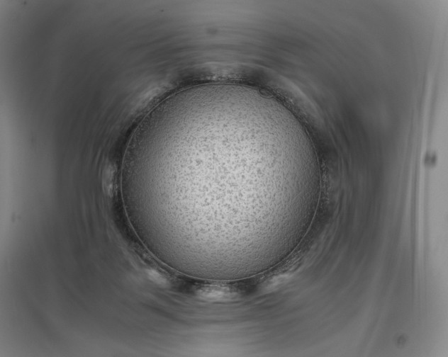 X0000096940123200802221328