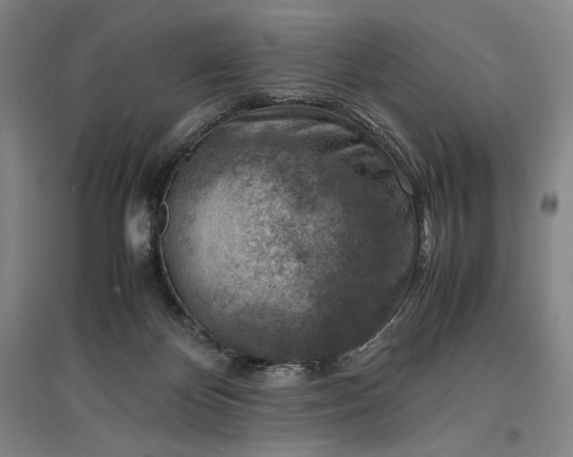 X0000096940124200802221328