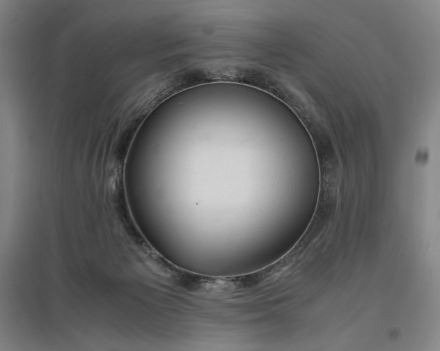 X0000096940125200802221328