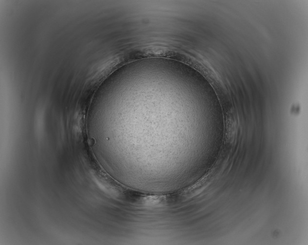 X0000096940126200802221328