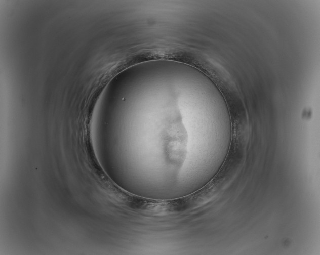 X0000096940127200802221328