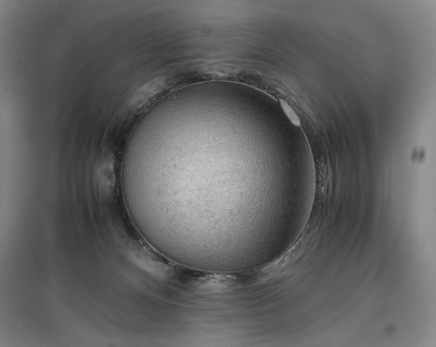 X0000096940128200802221328