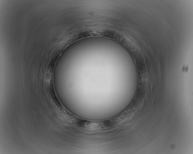 X0000096940129200802221328