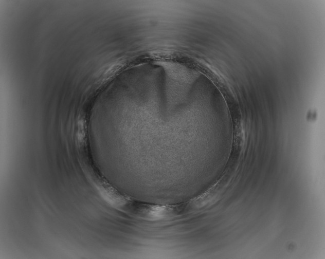 X0000096940130200802221328