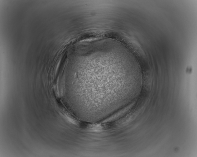 X0000096940131200802221328