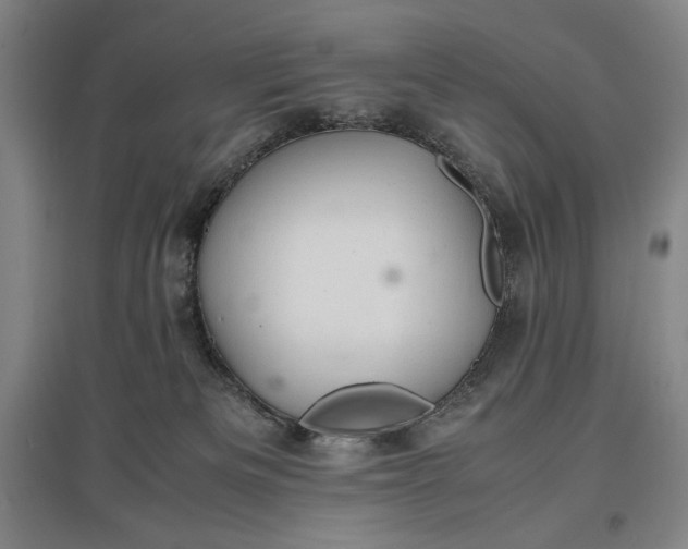 X0000096940133200802221328