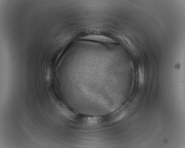 X0000096940134200802221328